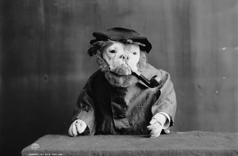 Illustration for article titled Even In The 1900s, Humans Were Obsessed With Photos Of Dogs In Clothes